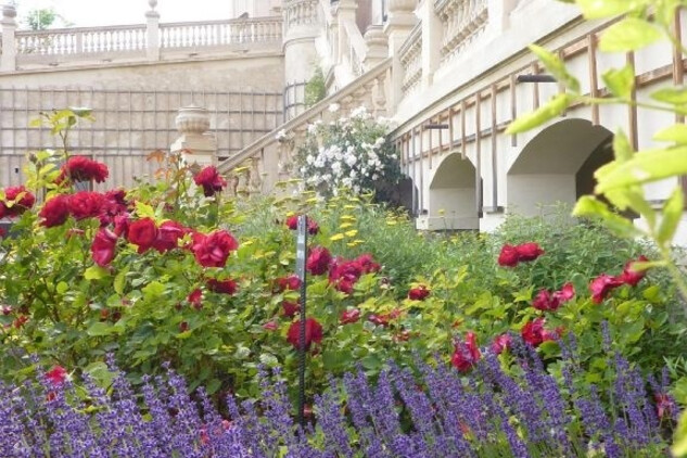 Levandule a růže v zámeckém parku | © Státní zámek Mníšek pod Brdy